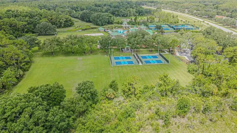 19145 Wood Sage Drive Tampa FL 33647