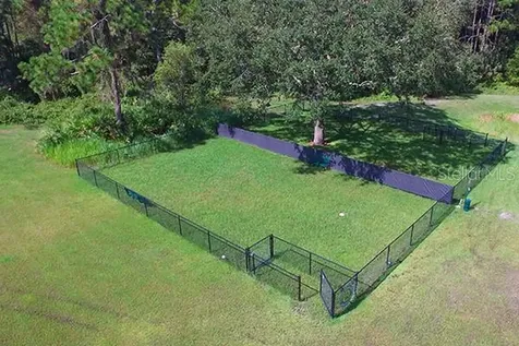 19145 Wood Sage Drive Tampa FL 33647