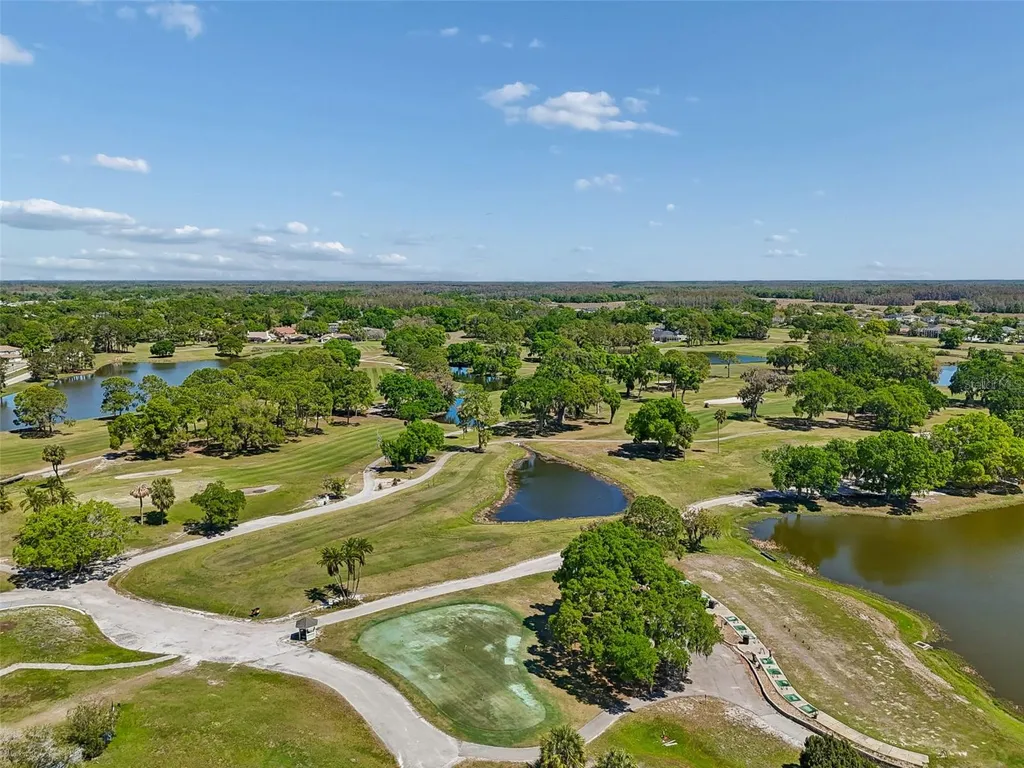 12507 Ashdown Drive Odessa FL 33556