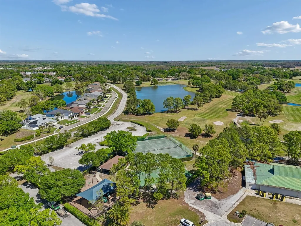 12507 Ashdown Drive Odessa FL 33556