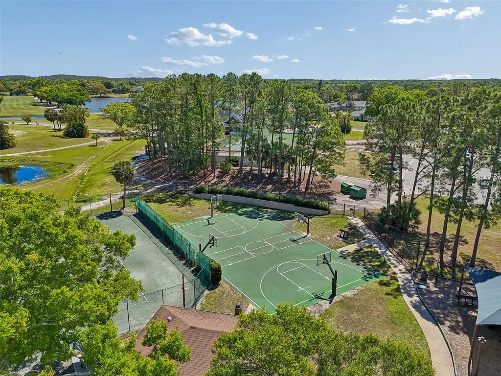 12507 Ashdown Drive Odessa FL 33556
