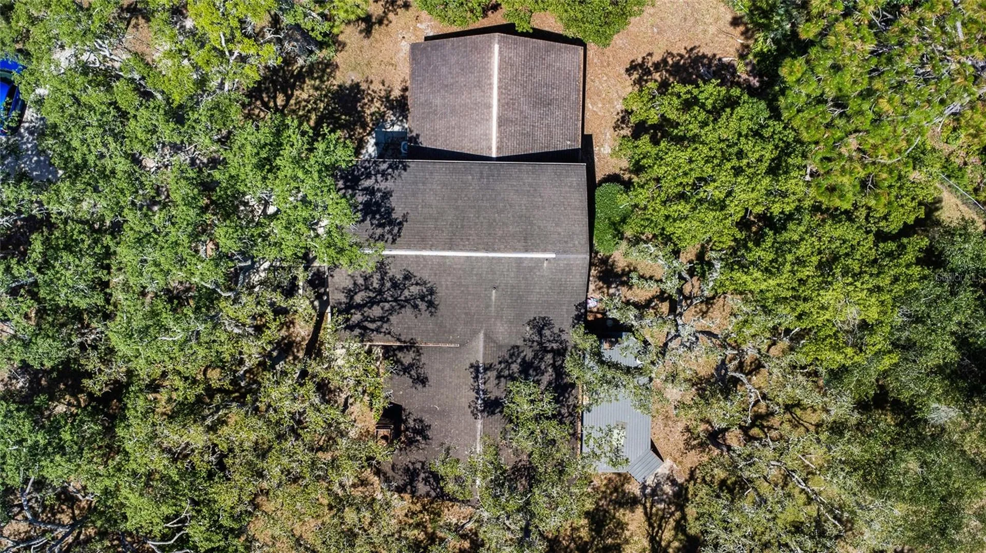 10221 Osceola Drive New Port Richey FL 34654