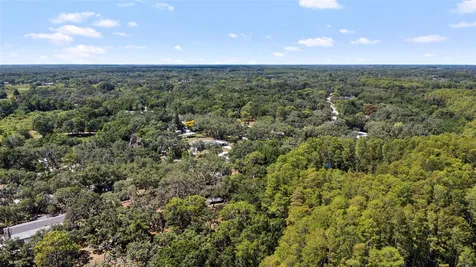 10221 Osceola Drive New Port Richey FL 34654