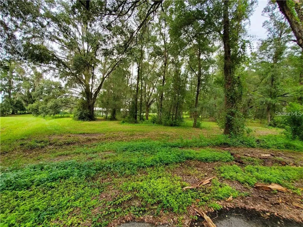Frazee Court Dade City FL 33523