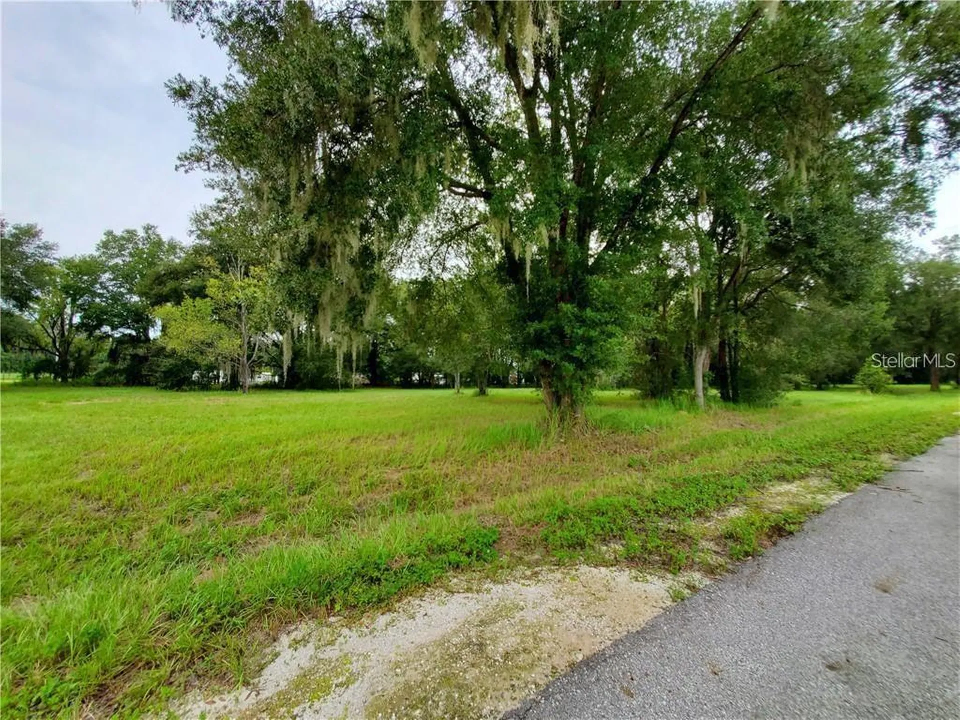 Frazee Court Dade City FL 33523