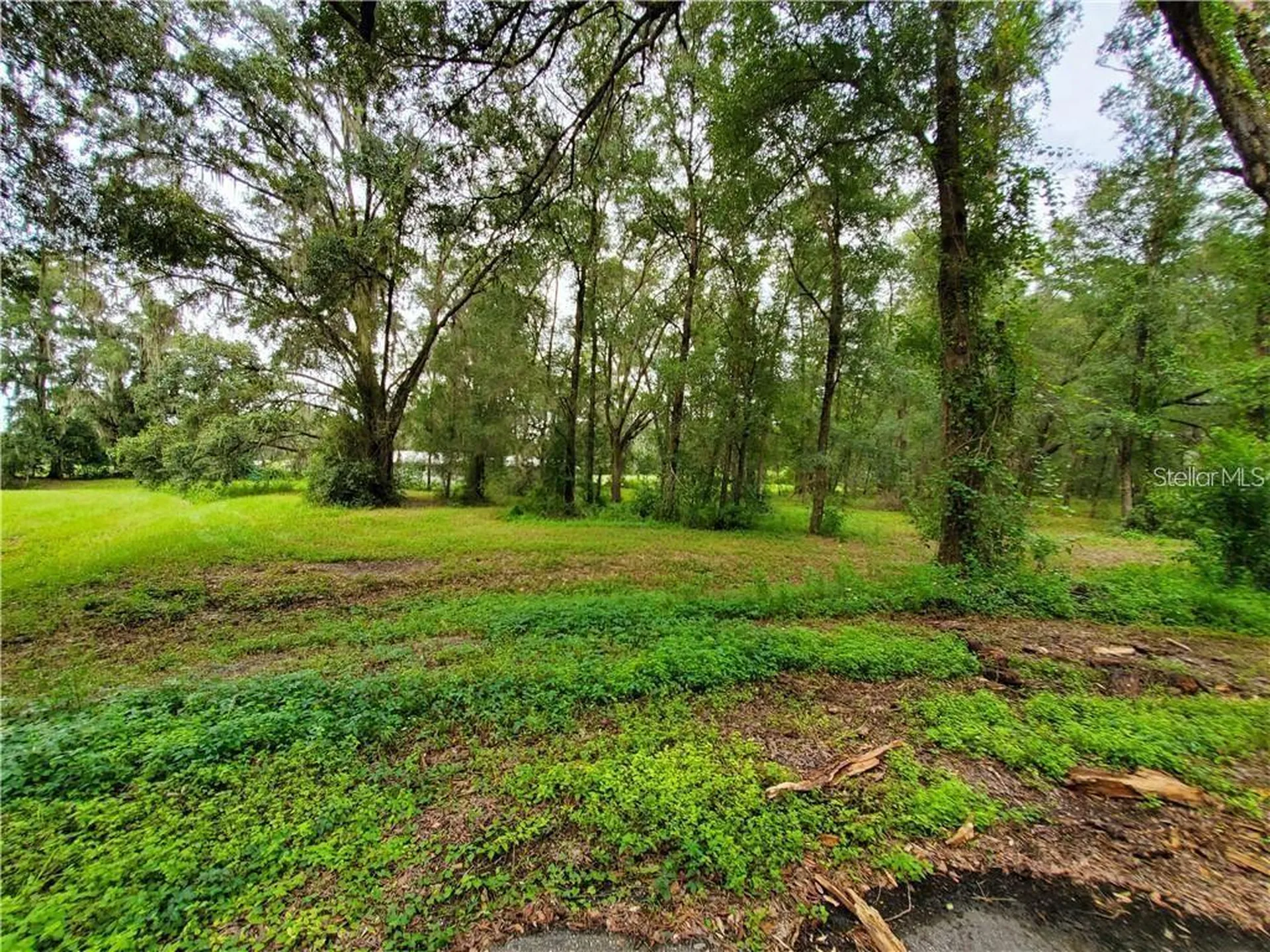 Frazee Court Dade City FL 33523