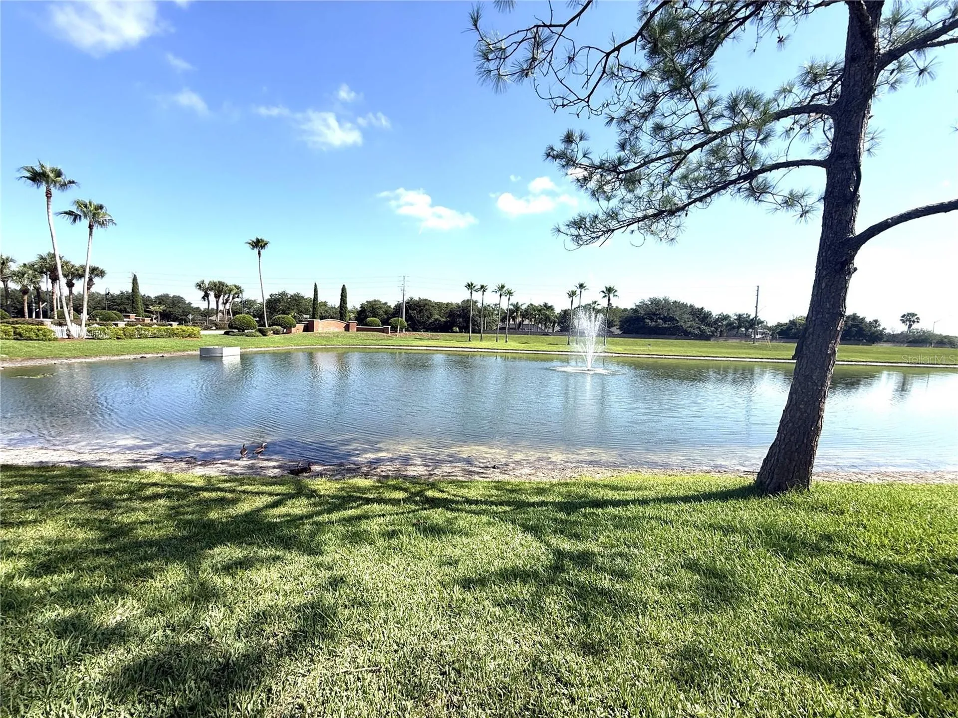 4207 Andover Cay Boulevard Orlando FL 32825