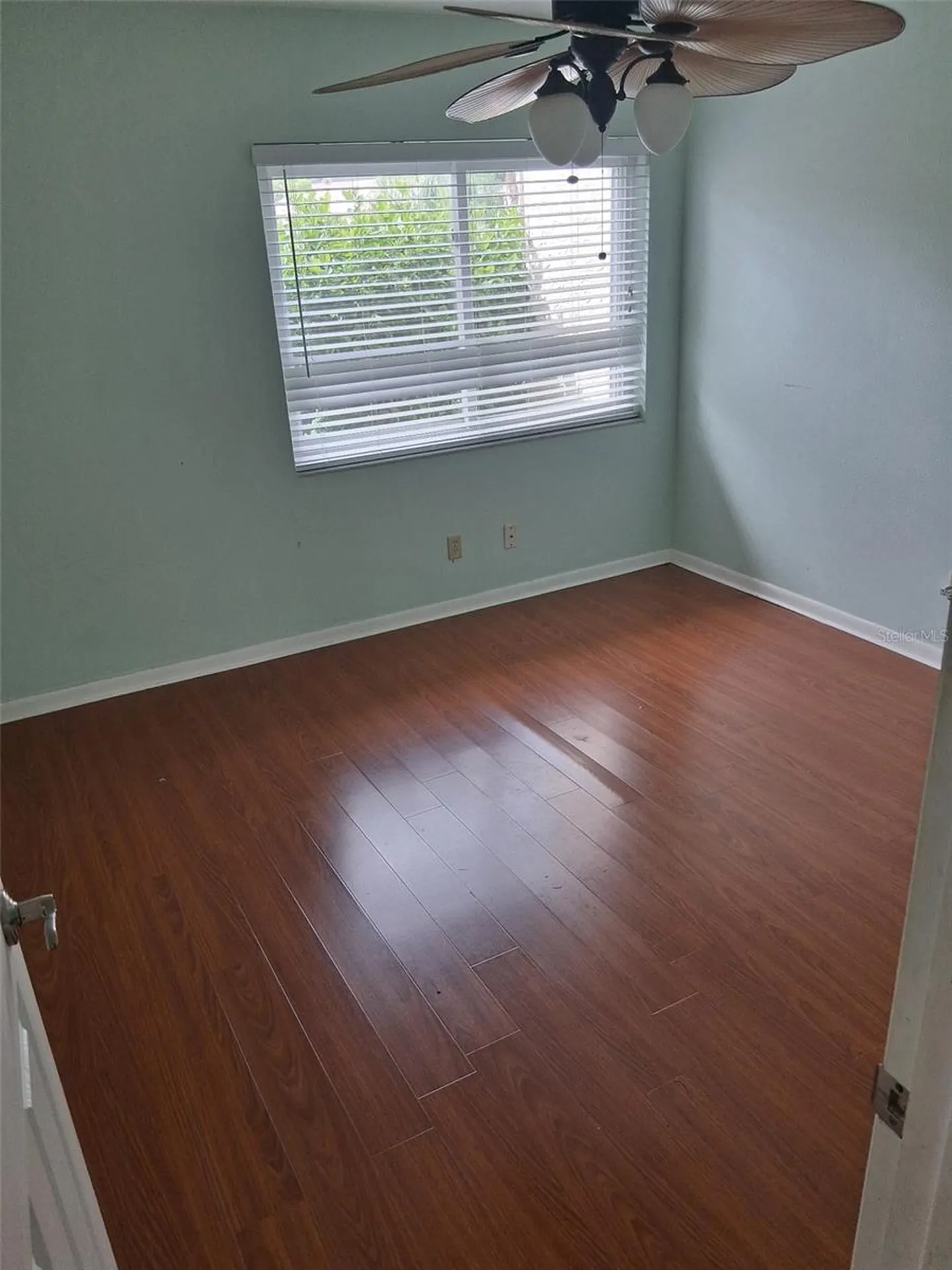 2617 Forest Run Court Clearwater FL 33761