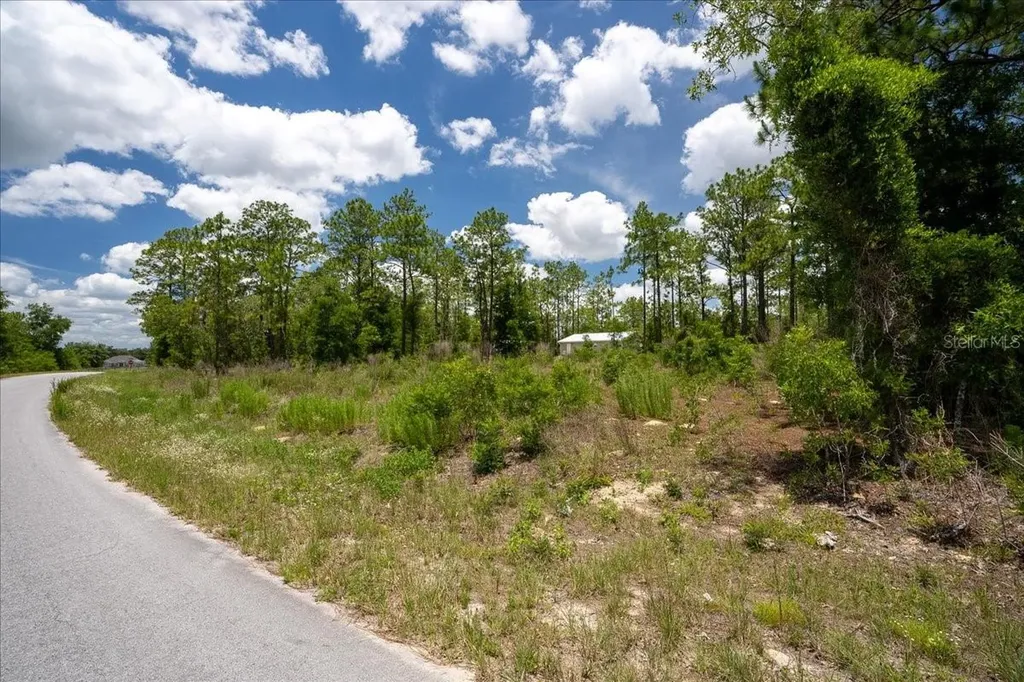 NE 4th Lane Williston FL 32696