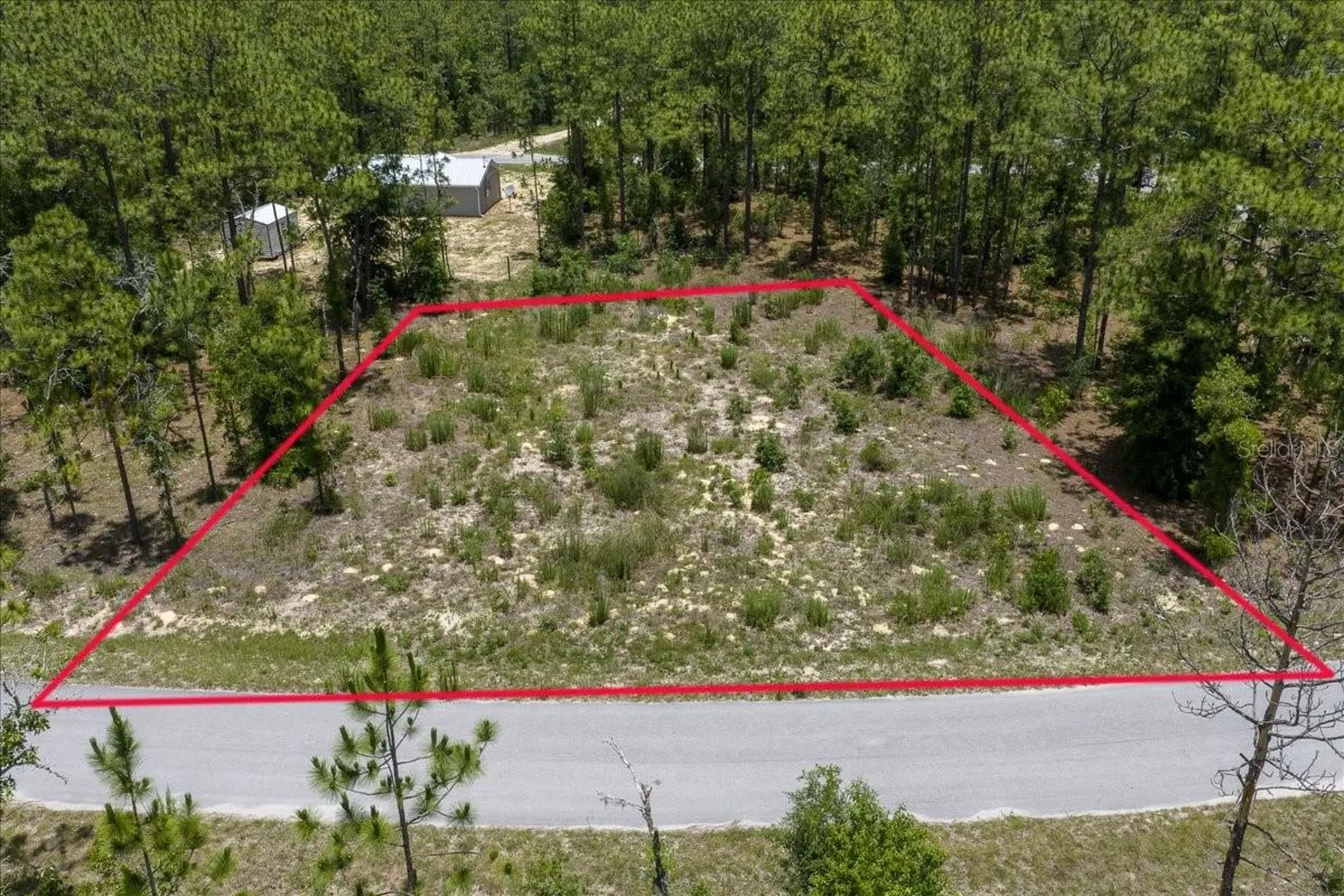 NE 4th Lane Williston FL 32696