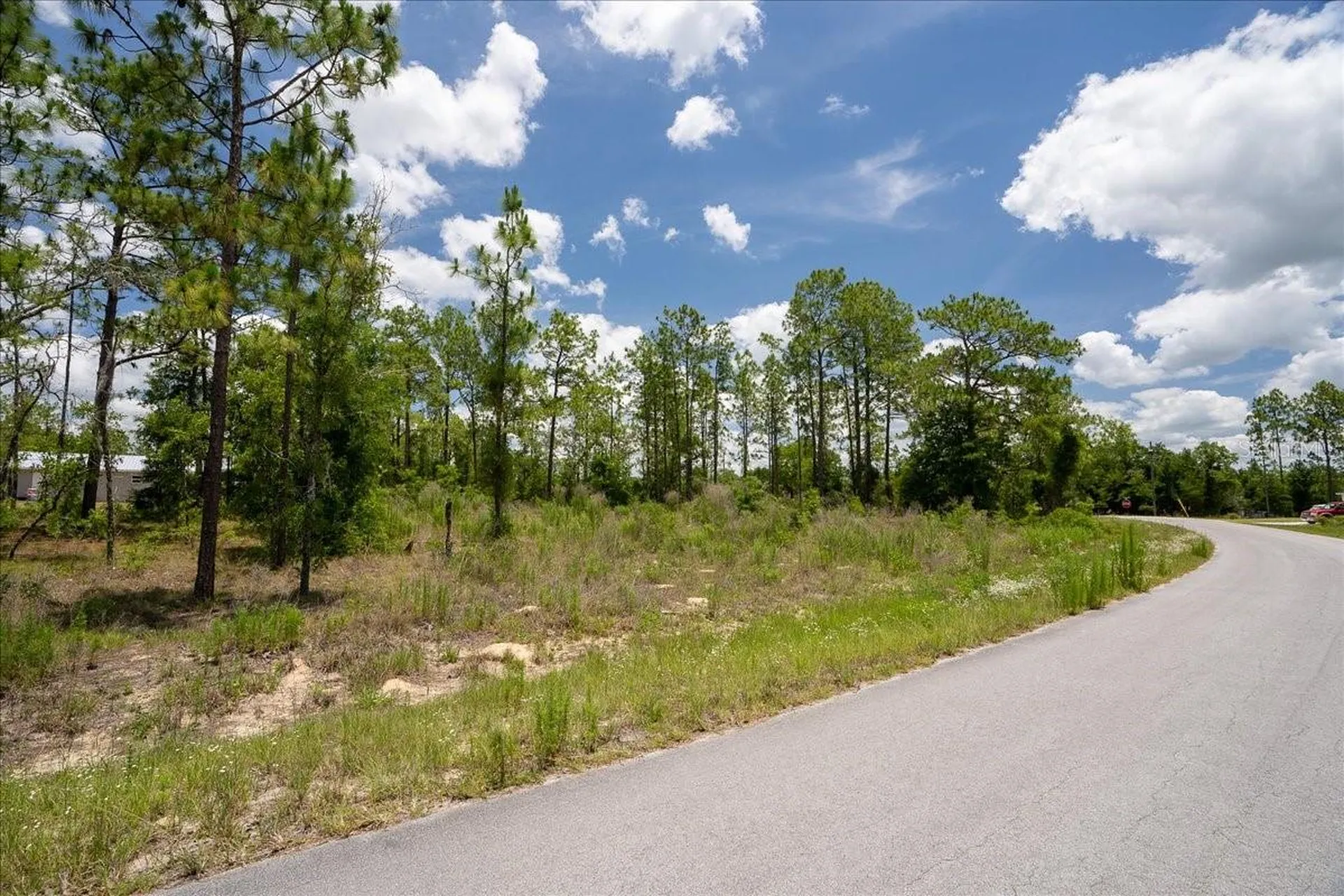 NE 4th Lane Williston FL 32696