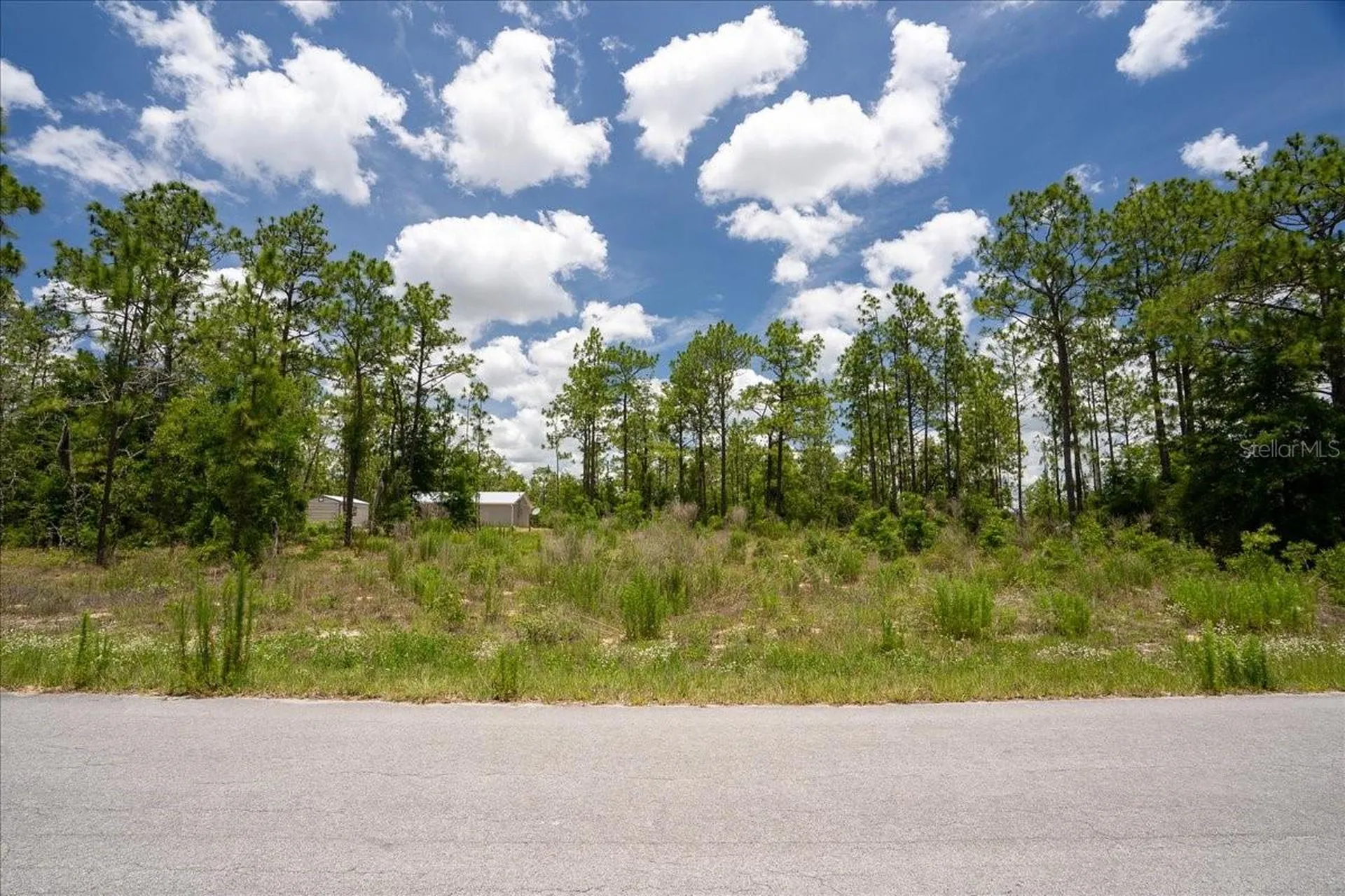 NE 4th Lane Williston FL 32696