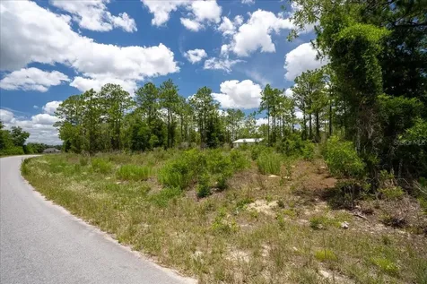 NE 4th Lane Williston FL 32696