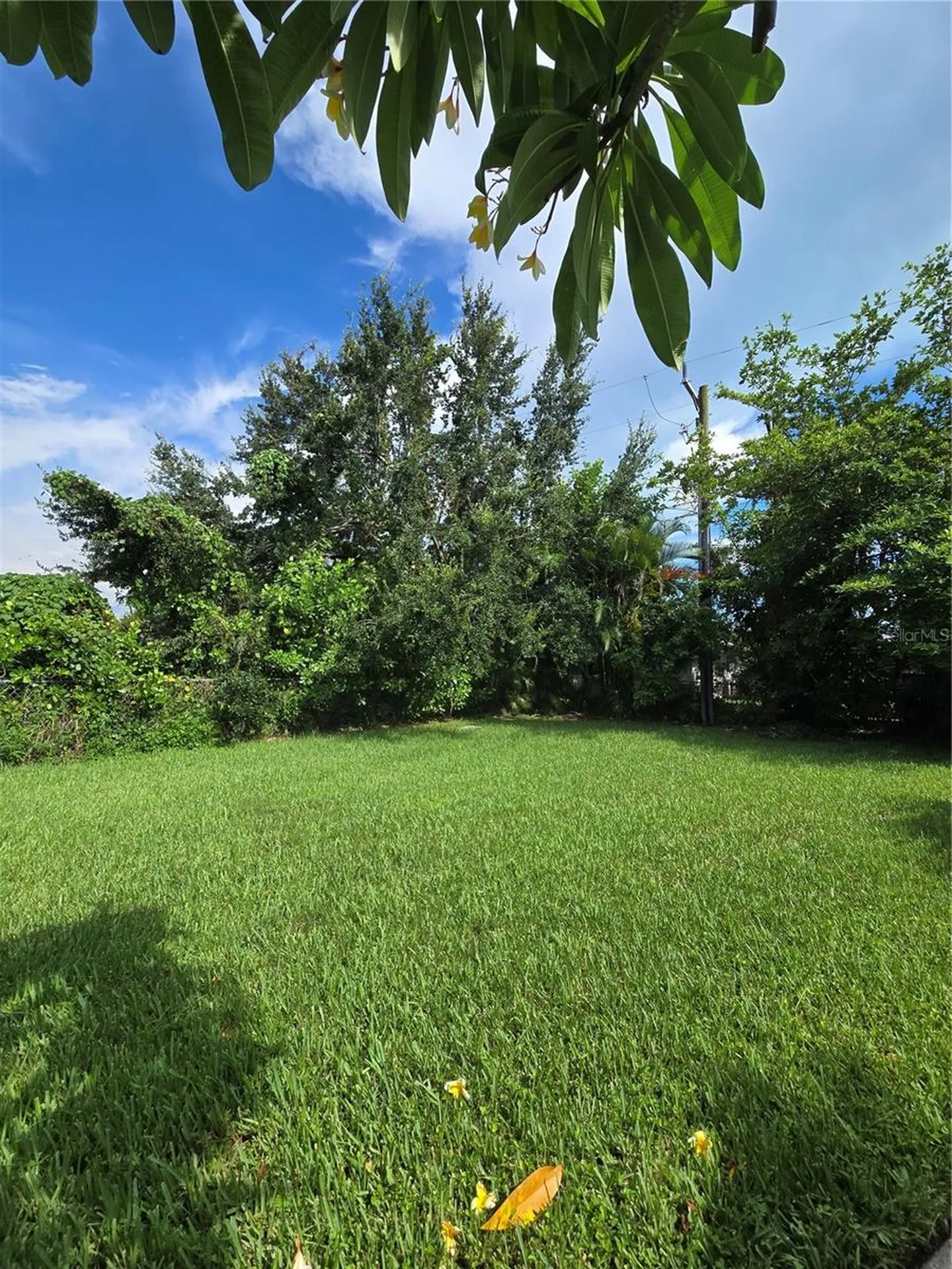 6224 Principia Drive Fort Myers FL 33919