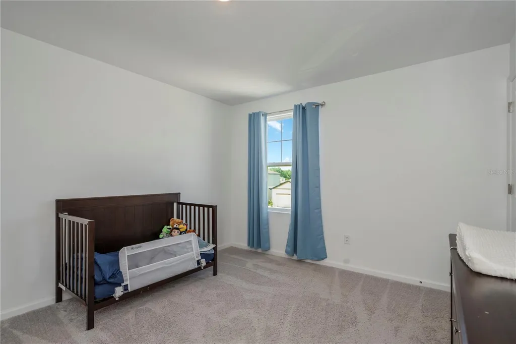 35567 Buttonweed Zephyrhills FL 33541