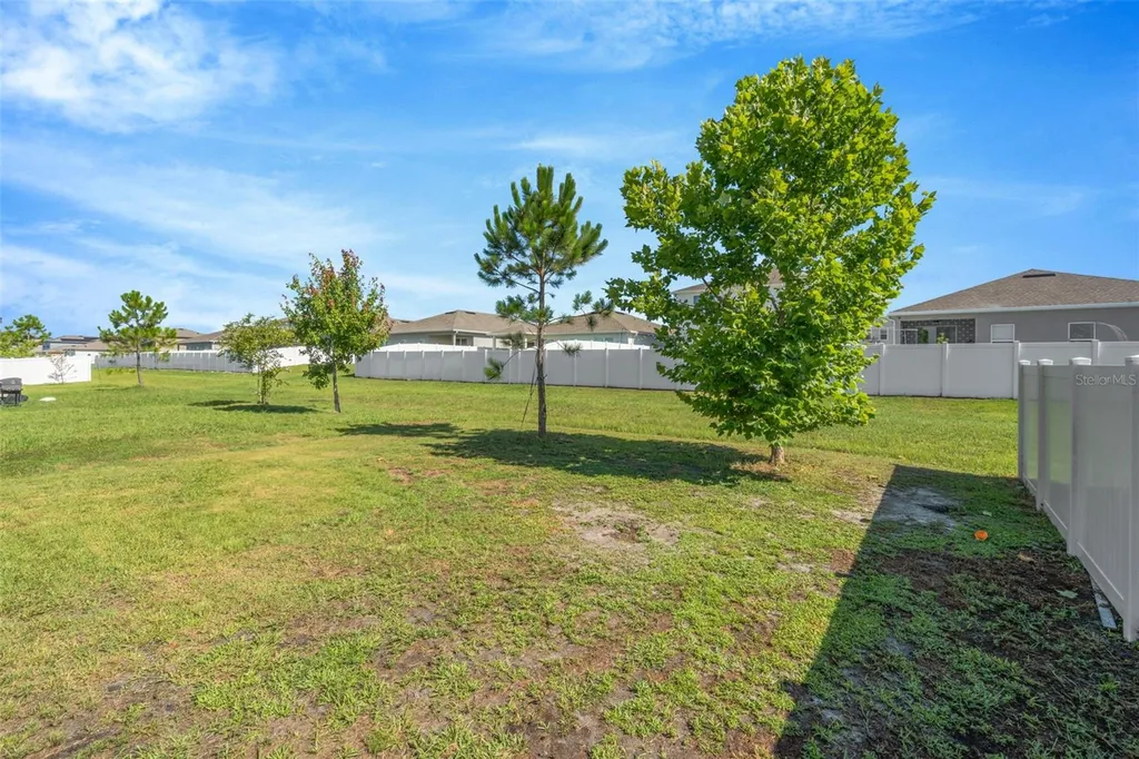 35567 Buttonweed Zephyrhills FL 33541