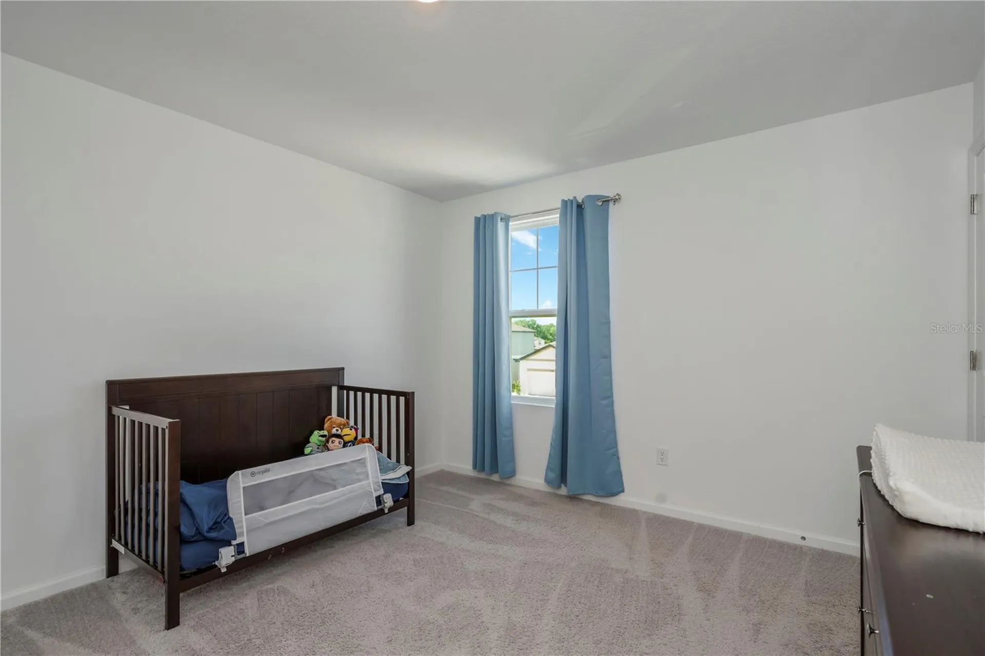35567 Buttonweed Zephyrhills FL 33541
