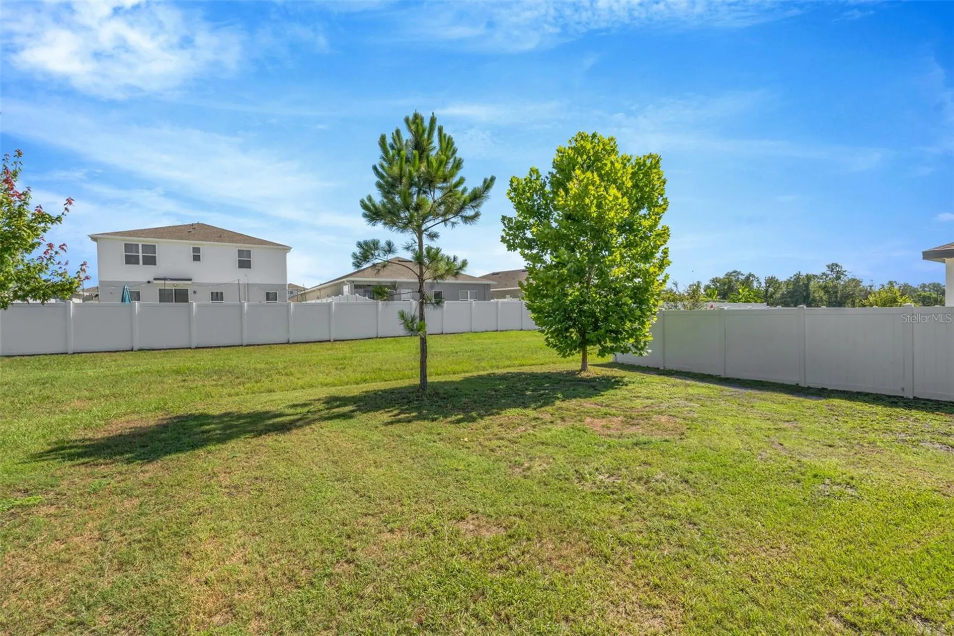 35567 Buttonweed Zephyrhills FL 33541