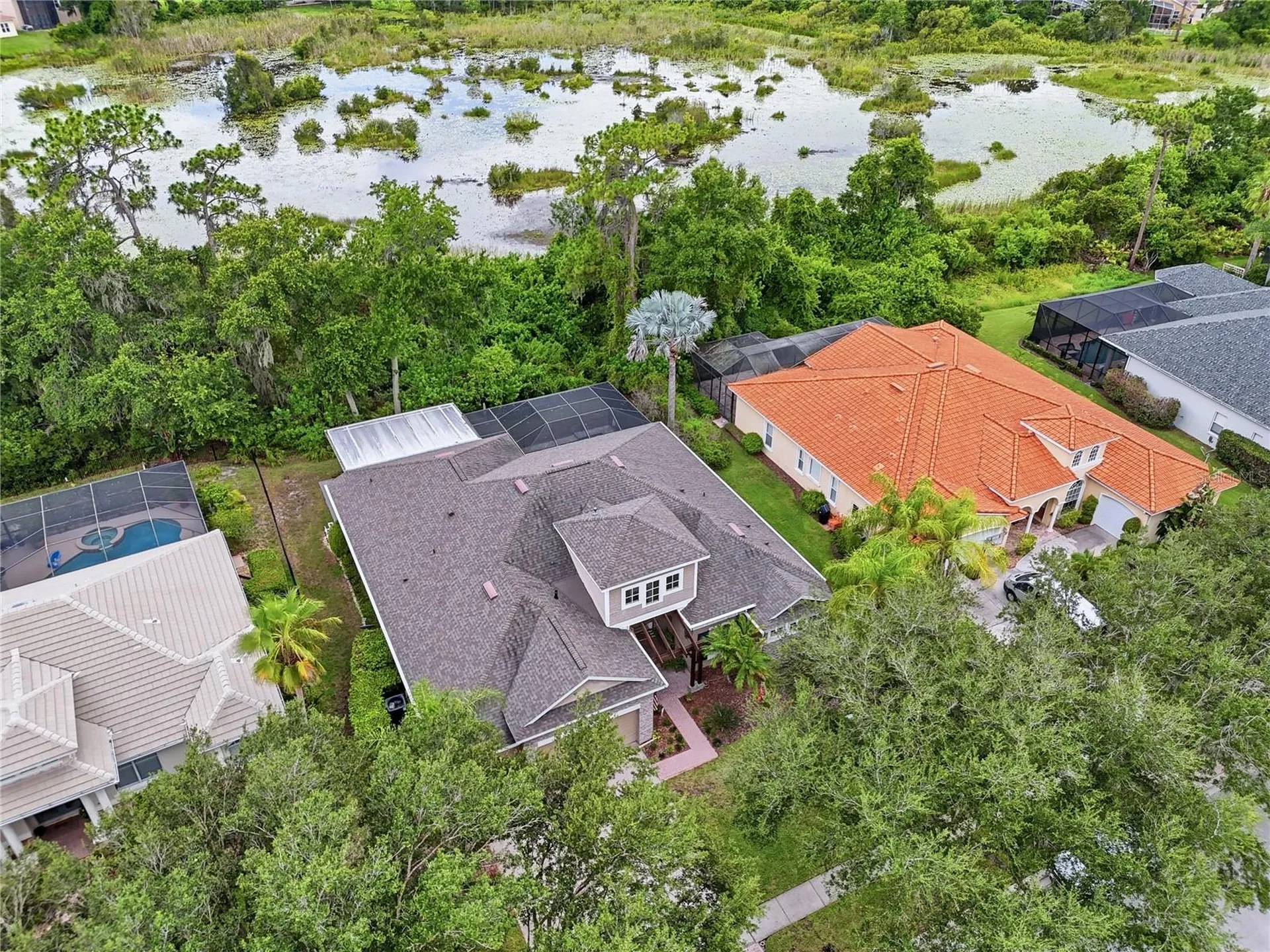 7049 Timber Ridge Way Land O Lakes FL 34637