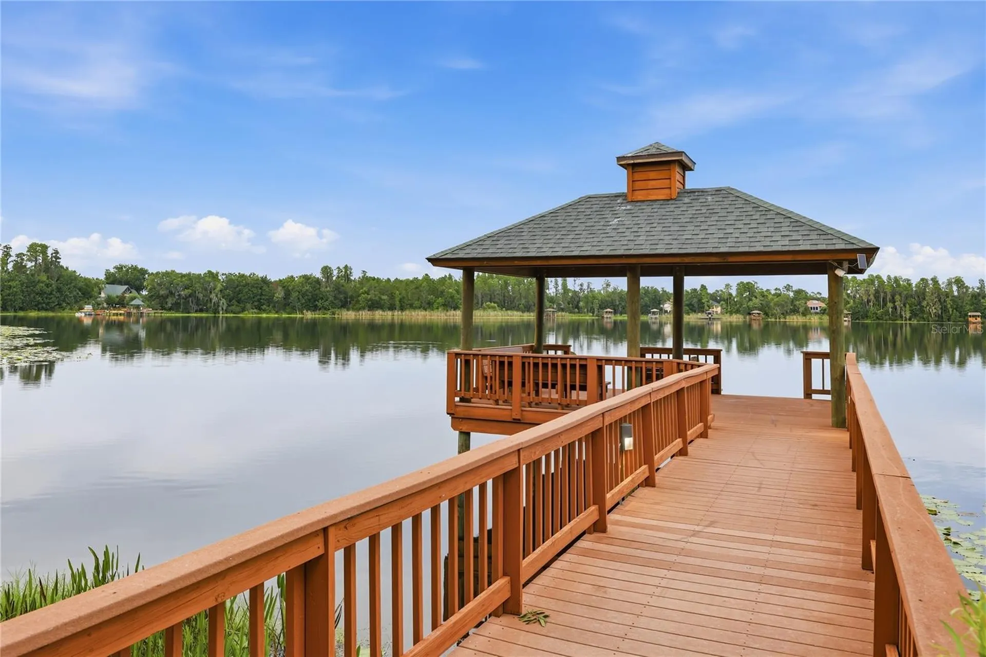 7049 Timber Ridge Way Land O Lakes FL 34637