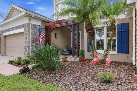 7049 Timber Ridge Way Land O Lakes FL 34637
