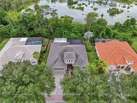 7049 Timber Ridge Way Land O Lakes FL 34637