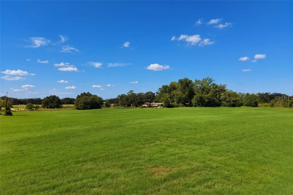 18951 SE 15th Street Williston FL 32696