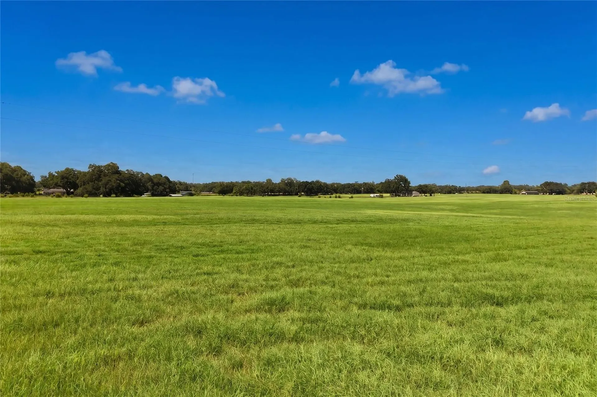 18951 SE 15th Street Williston FL 32696