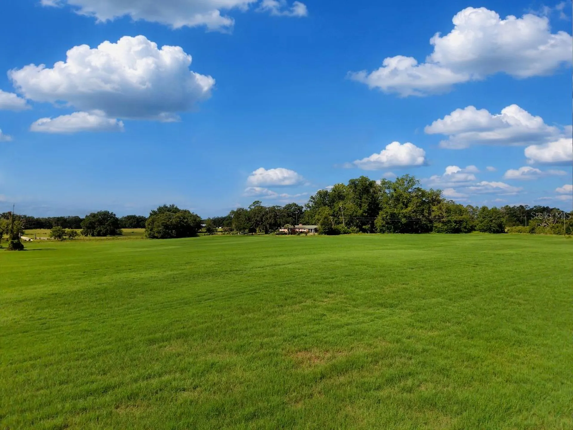 18951 SE 15th Street Williston FL 32696