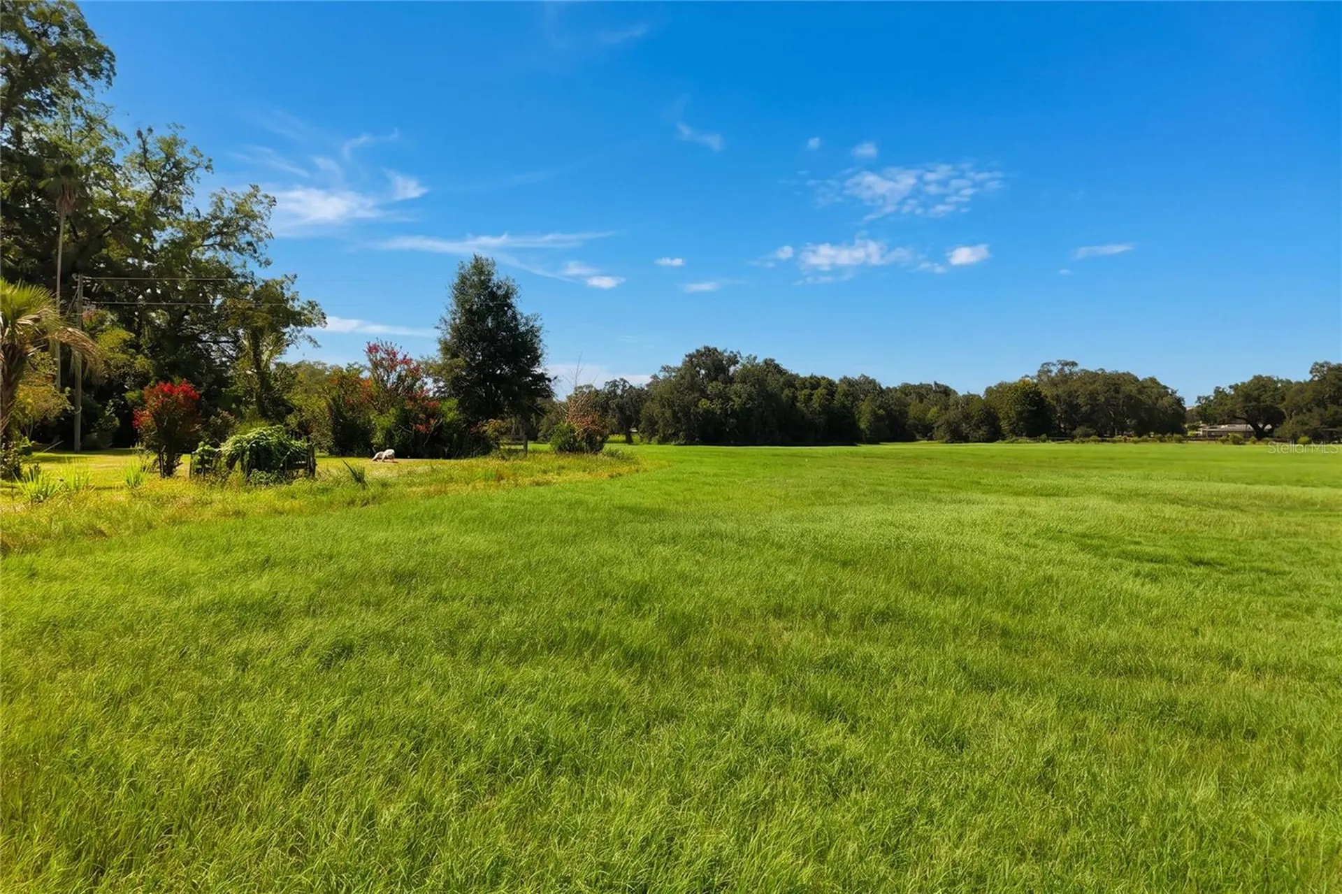 18951 SE 15th Street Williston FL 32696