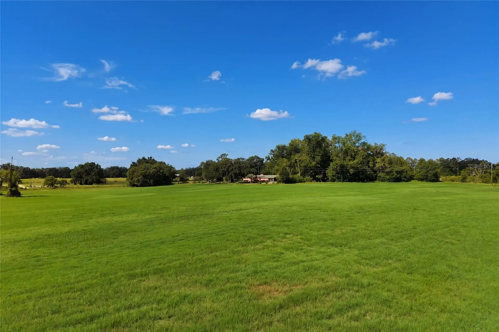 18951 SE 15th Street Williston FL 32696