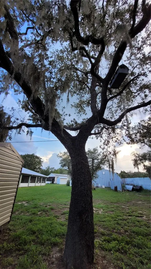 3013 Laurel Avenue Lake Wales FL 33898