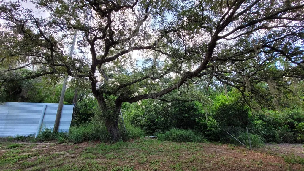 3013 Laurel Avenue Lake Wales FL 33898