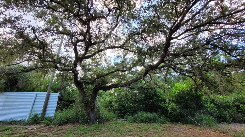 3013 Laurel Avenue Lake Wales FL 33898