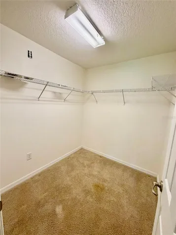 2626 Breezy Meadow Road Apopka FL 32712