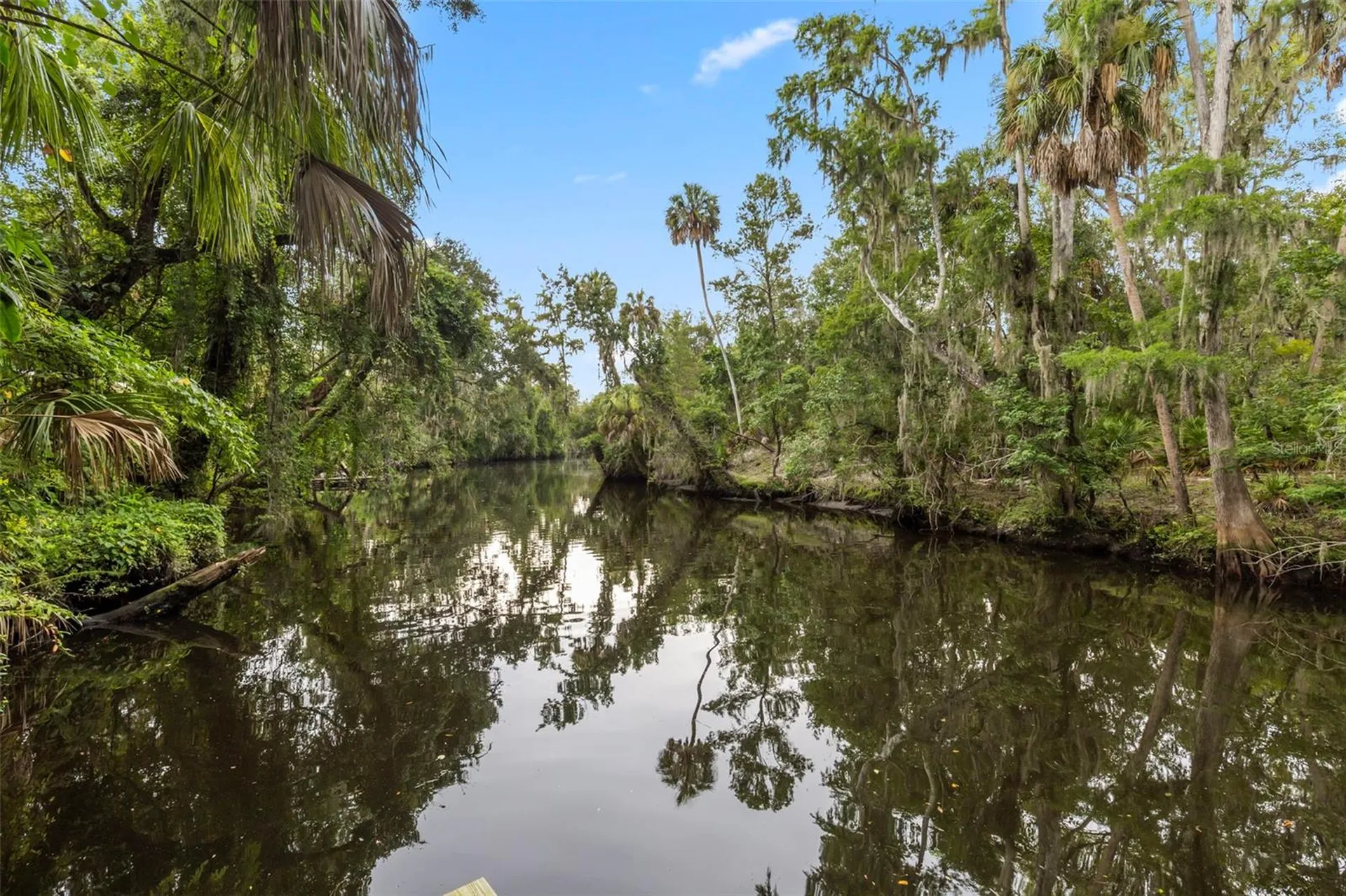 8312 Revels Road Riverview FL 33569