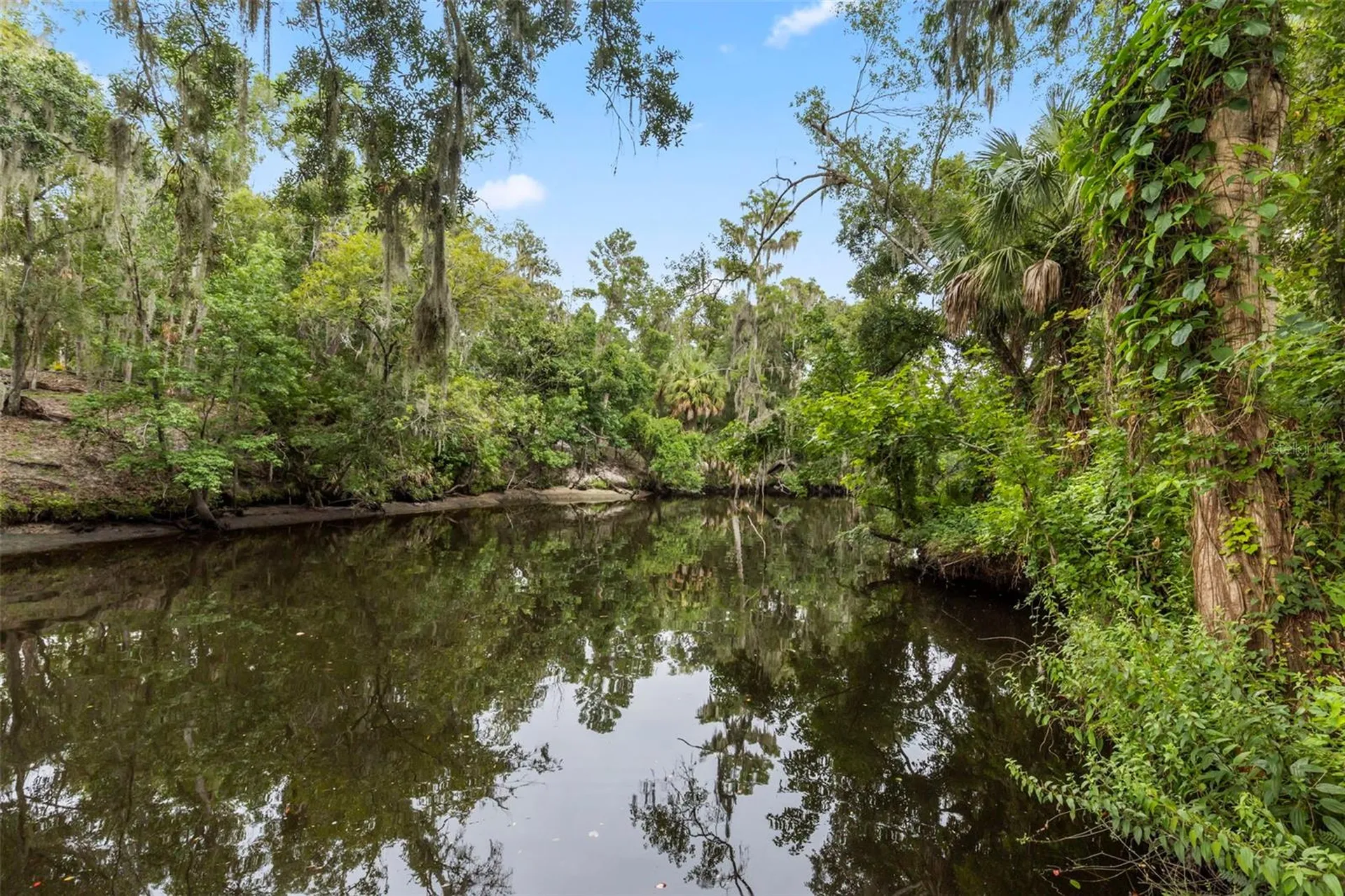 8312 Revels Road Riverview FL 33569