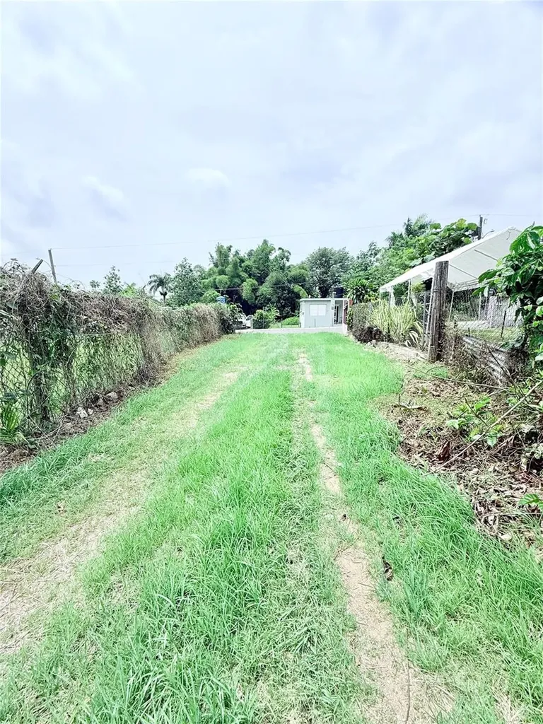 Km 0.9 Route 759 Maunabo PR 00707