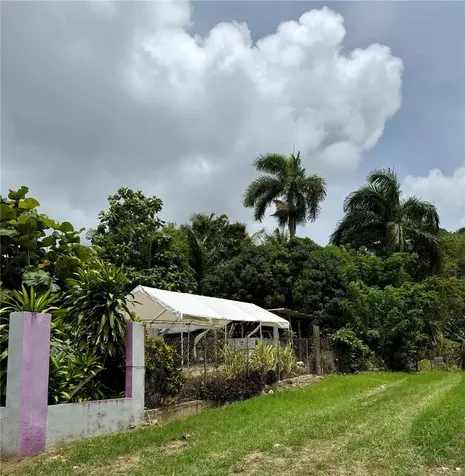 Km 0.9 Route 759 Maunabo PR 00707