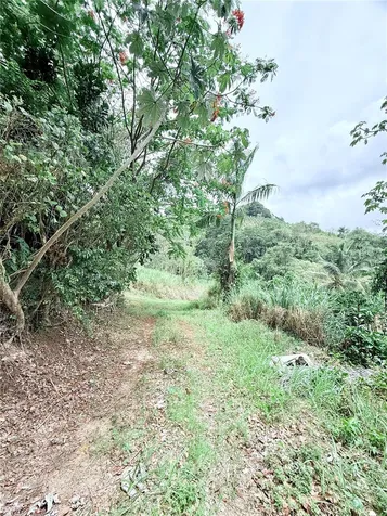 Km 0.9 Route 759 Maunabo PR 00707