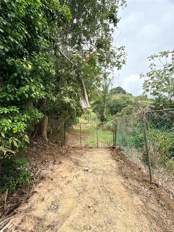 Km 0.9 Route 759 Maunabo PR 00707