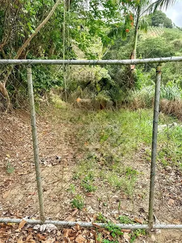 Km 0.9 Route 759 Maunabo PR 00707