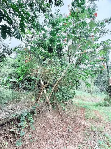 Km 0.9 Route 759 Maunabo PR 00707