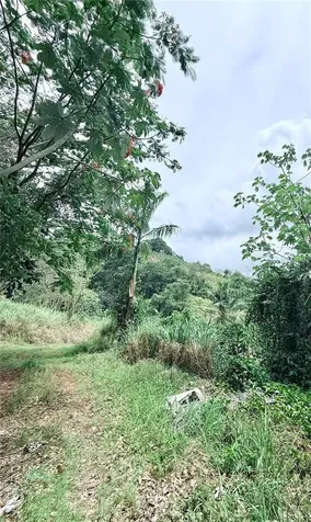 Km 0.9 Route 759 Maunabo PR 00707