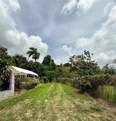 Km 0.9 Route 759 Maunabo PR 00707