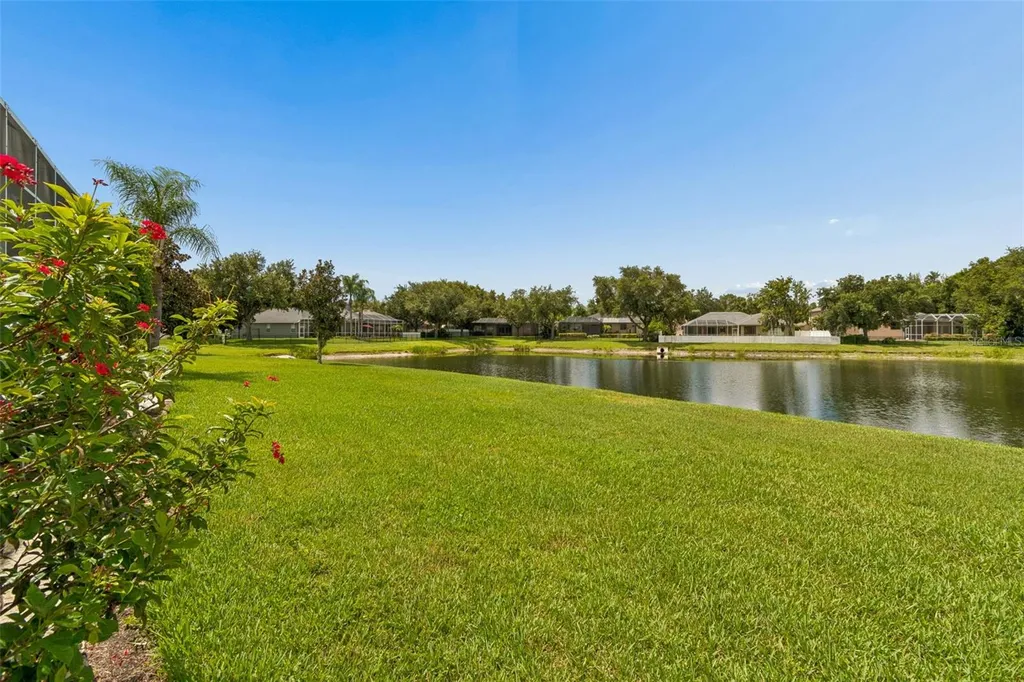 5303 Clouds Peak Drive Lutz FL 33558