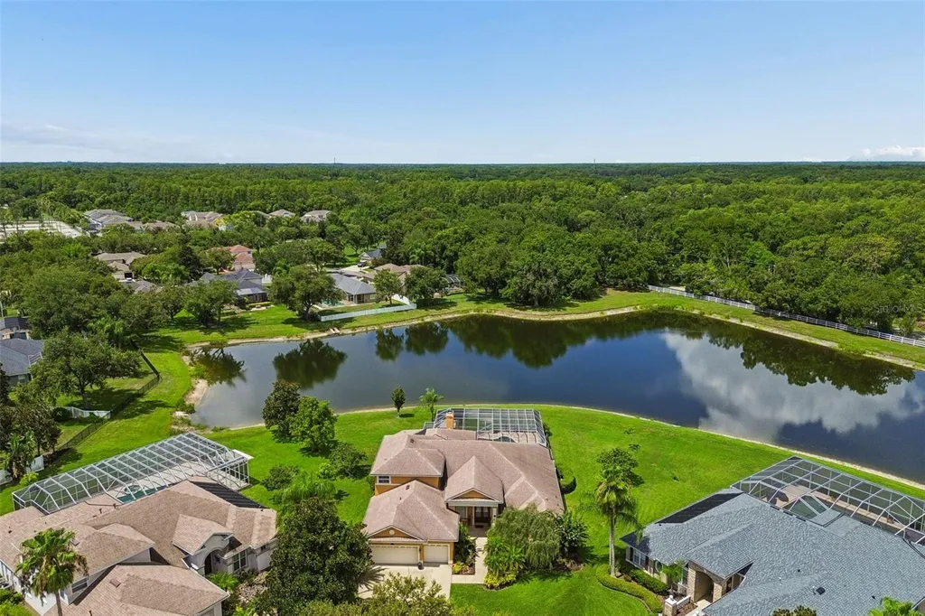 5303 Clouds Peak Drive Lutz FL 33558