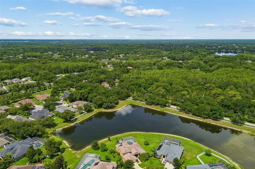 5303 Clouds Peak Drive Lutz FL 33558