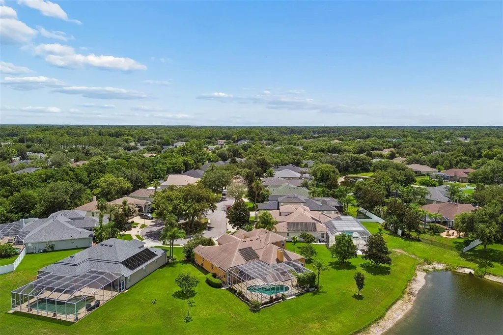 5303 Clouds Peak Drive Lutz FL 33558