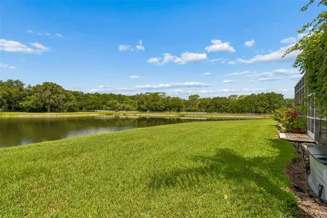 5303 Clouds Peak Drive Lutz FL 33558